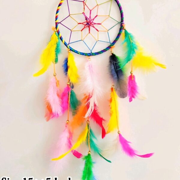 DC-2 (Pack of 12 Pcs)