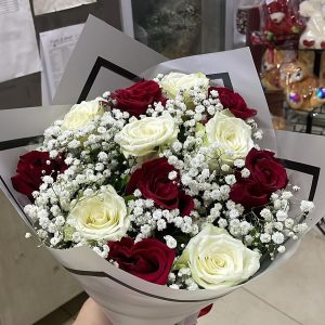 528972c9ccad67dfc478315fd81f4ec9